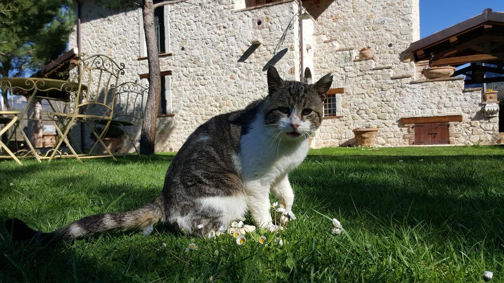 Agriturismo I Terzieri Ferentillo Екстериор снимка
