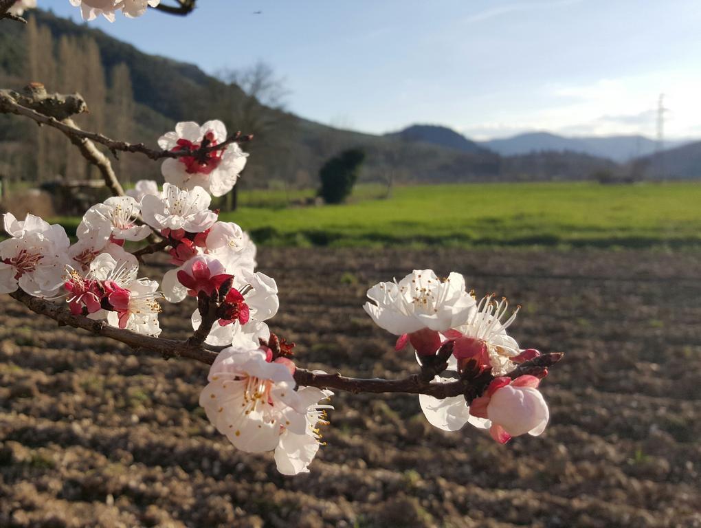 Agriturismo I Terzieri Ferentillo Екстериор снимка