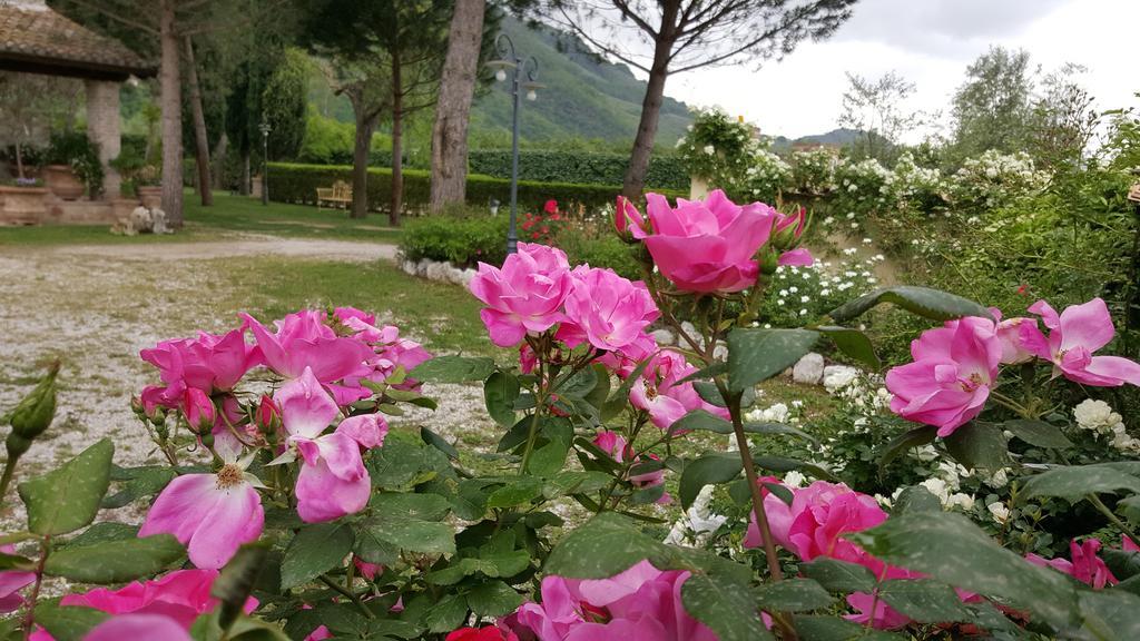 Agriturismo I Terzieri Ferentillo Екстериор снимка