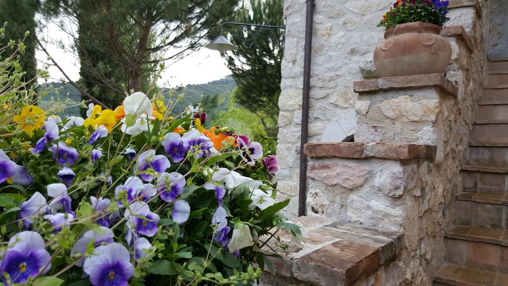 Agriturismo I Terzieri Ferentillo Екстериор снимка