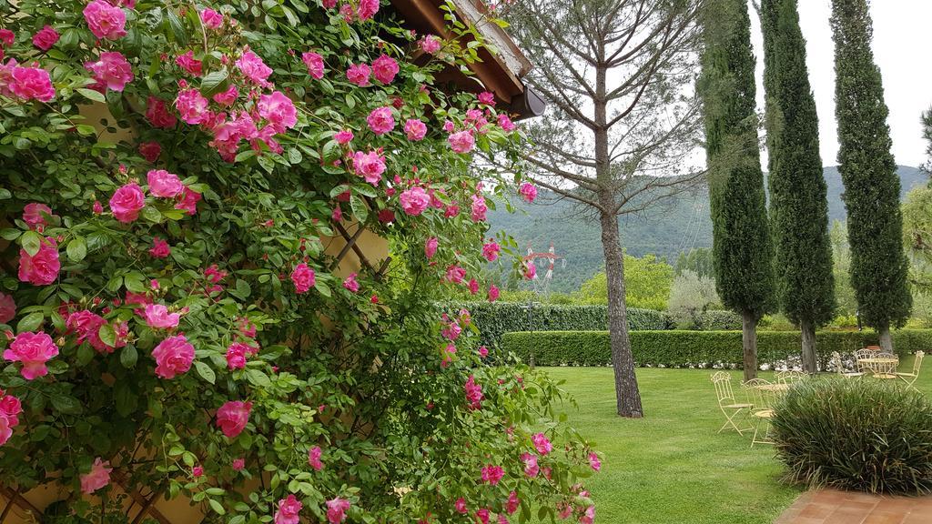 Agriturismo I Terzieri Ferentillo Екстериор снимка