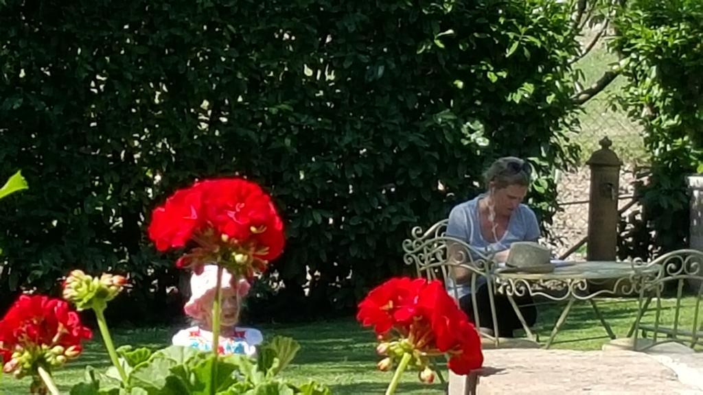 Agriturismo I Terzieri Ferentillo Екстериор снимка